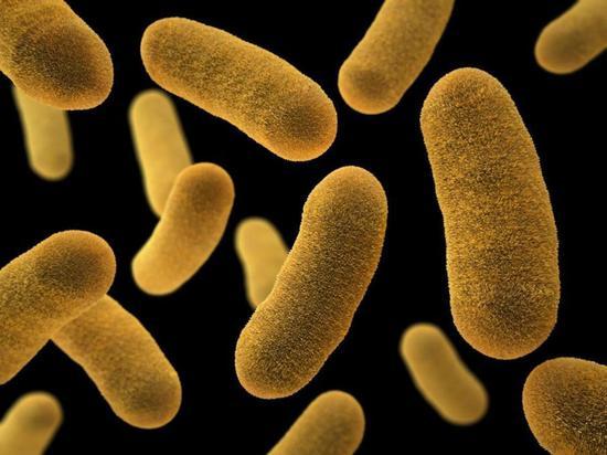 В воде городского пляжа в Абакане обнаружили бактерии группы кишечной палочки