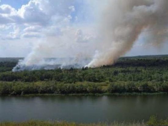 В Белокалитвинском районе вновь начался лесной пожар