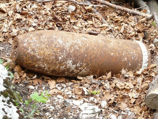 В Липецке на полигоне нашли боеприпас времён войны