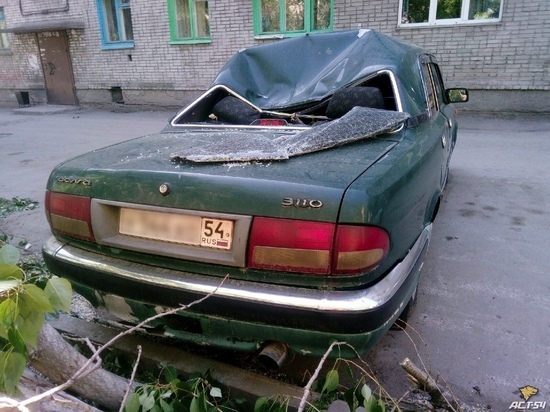 В Новосибирске упавший тополь смял винтажную Волгу