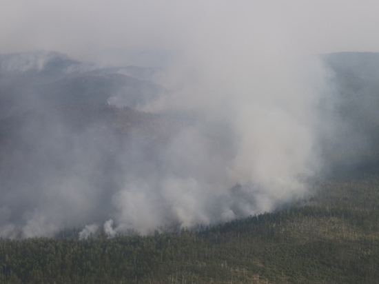 В Забайкалье 12 лесных пожаров, но дым принесло из других регионов