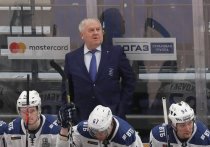 Федерация хоккея России нашла способ раздать медали по итогам прерванного чемпионата