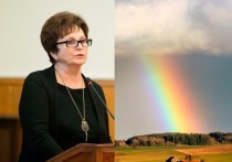 Глава Союза женщин России Екатерина Лахова, накануне пожаловавшаяся президенту Владимиру Путину на напоминающее радугу разноцветное мороженое, объяснила свою позицию