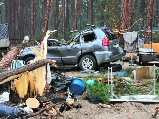 Погиб турист: ночью ураган повалил деревья на палатки спящих людей