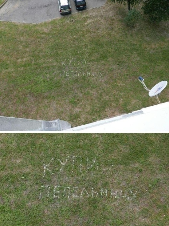 В Рыбинске жильцы многоэтажки оставили своему соседу сообщение на газоне под окнами