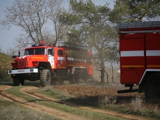 В Волгоградской области спасатели борются с лесным пожаром