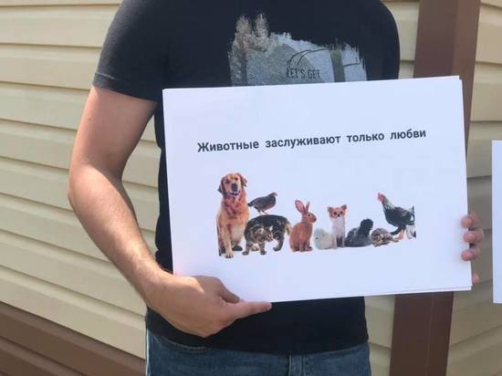 В Тамбовской области прошли акции в поддержку гуманного отношения к животным