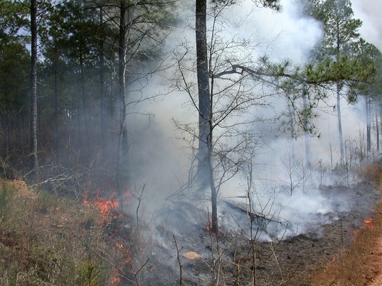 Риск природных пожаров существует в одном из районов Забайкалья