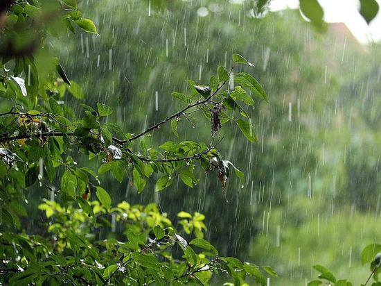 Дожди в Хабаровском крае задержатся на неделю