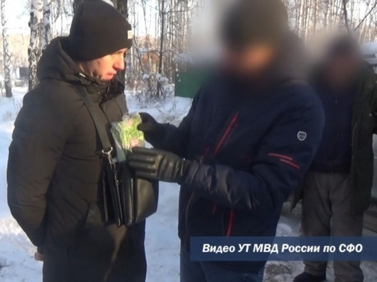 Курьера из Новосибирска подозревают в сбыте 14 килограммов наркотиков