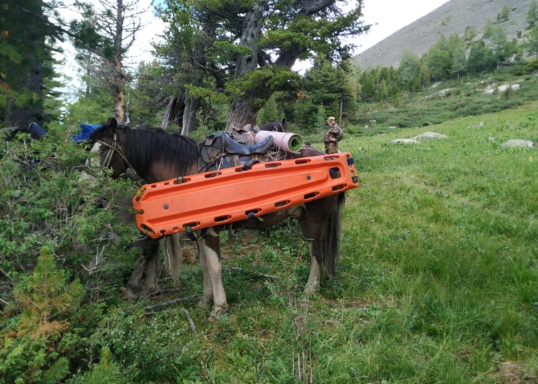 Алтайские спасатели на лошадях спасли в горах травмированного путешественника