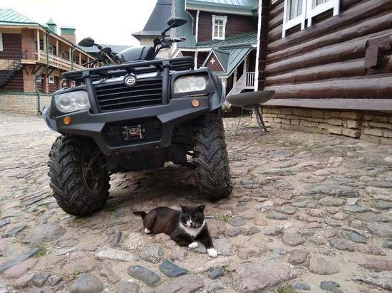 Кот с квадроциклом из Псково-Печерского монастыря покорил интернет