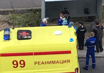 В Архангельске мать выбросила из окна 4-летнюю дочь