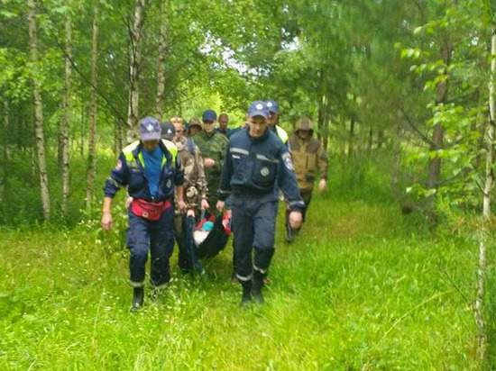 Спасатели Удмуртии нашли заблудившуюся в лесу пенсионерку живой