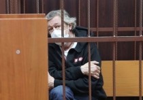 Актеру Михаилу Ефремову в понедельник вечером предъявили обвинение в окончательной редакции
