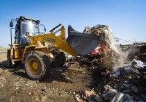 В региональном правительстве подвели итоги работы по борьбе с несанкционированными точками сброса мусора