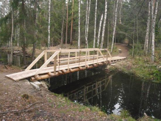 В Ряжске отремонтируют пешеходный мост через ручей