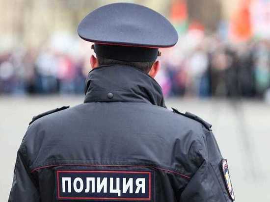 Нижегородка напала на полицейского на трассе в Семеновском районе