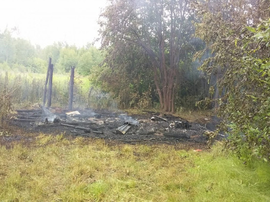 В Орловском районе женщина заживо сожгла экс-сожителя