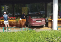 81-летний москвич на даче повредил ногу и поэтому за рулем потерял контроль над машиной