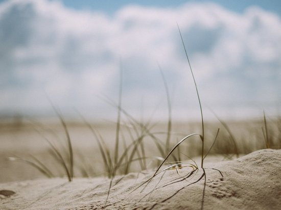 С 8 по 10 июля песок на Ижевском пляже обработают дезинфицирующим средством