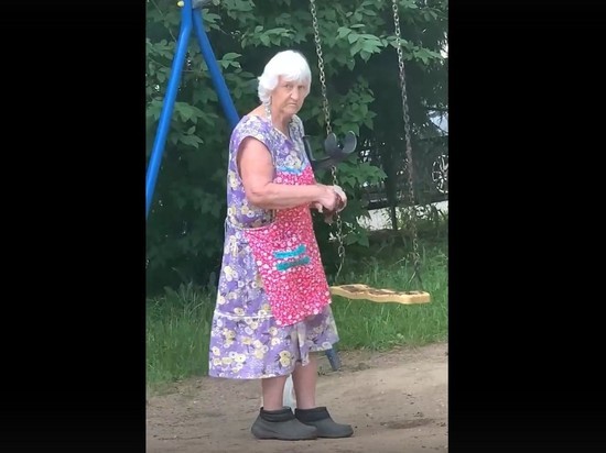Бабушка из Гатчины год мажет качели фекалиями, чтобы дети не качались