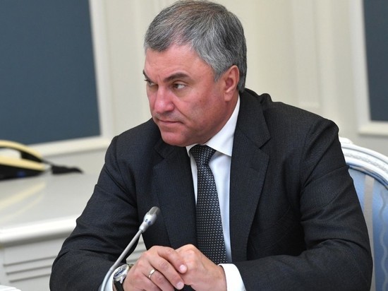 Володин назвал политическим решение ЕСПЧ по делу депутата Рашкина