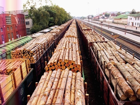 Забайкальцы способствовали контрабанде леса за взятку в 1,5 млн рублей