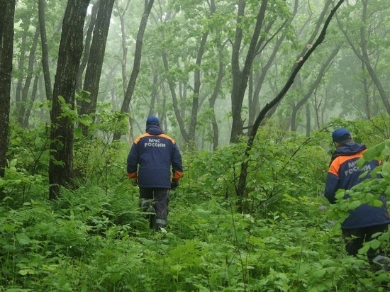 В Хабаровском крае ищут ушедших в лес мужчин