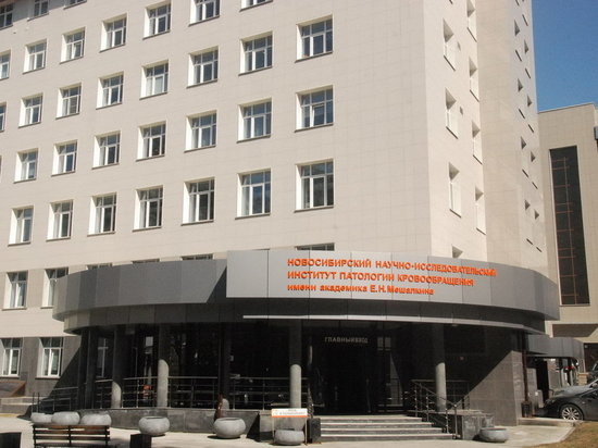Мешалкина Новосибирск Фото Мешалкина Новосибирск Фото