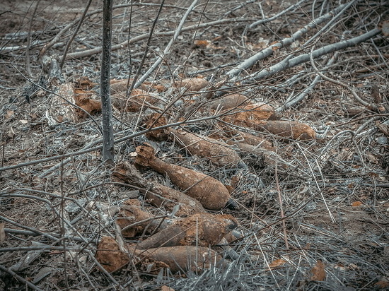 Семь снарядов обезвредили в Смоленской области