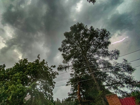 Синоптики вновь прогнозируют ураганный ветер в Тверской области