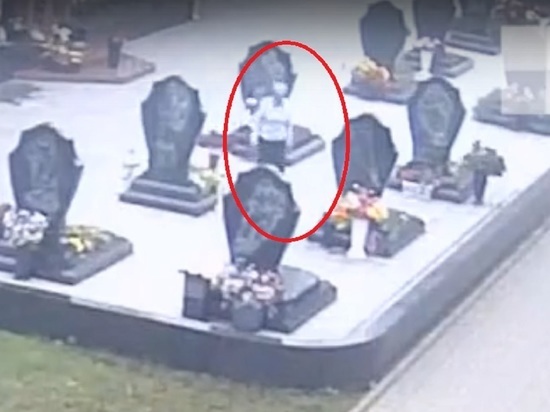 Полиция разыскивает женщину, которая повредила могилы хоккеистов на кладбище в Ярославле