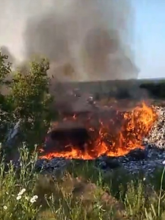 В Ярославской области возник крупный пожар на мусорном полигоне