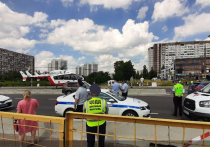 Необычное ДТП, в котором пострадали «водители» двух необычных средств передвижения, случилось в Зеленограде