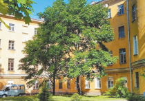 Медики психиатрической больницы Святого Николая Чудотворца, расположенной на набережной реки Мойки в Санкт-Петербурге, взывают о помощи