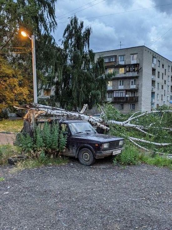 В Ярославле пронесшийся над городом ураган придавил деревьями несколько автомобилей