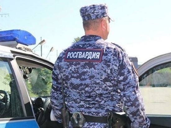 Псковичку, укравшую продуктов на тысячу рублей, поймали росгвардейцы