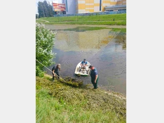 Водоем в парке 1100-летия в Смоленске очистили от водорослей Водоем в парке 1100-летия в Смоленске очистили от водорослей