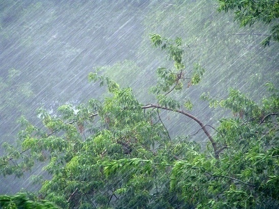 Рязанцев предупредили о сильном ветре и дожде