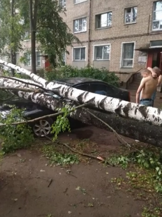 Итоги ночной стихии в Костроме: оборванные провода, поваленные деревья и находчивые караваевцы