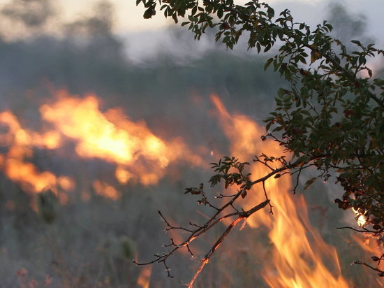  В Дагестане бушуют лесные пожары