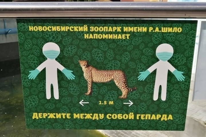 Новосибирский Зоопарк Цена Билета