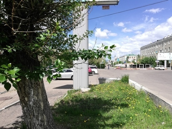 Почти все владеющие билбордами в Чите фирмы зарегистрированы в Подмосковье
