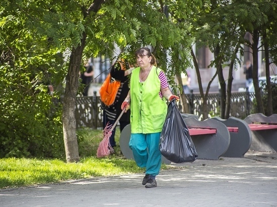 Прокуратура Новосибирска проверяет качество уборки города