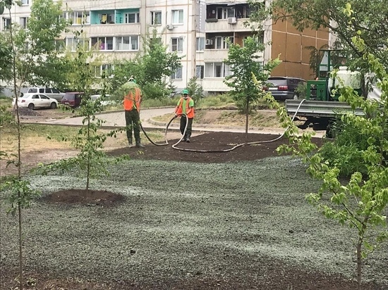 В Иркутске газоны обустраивают гидропосевом