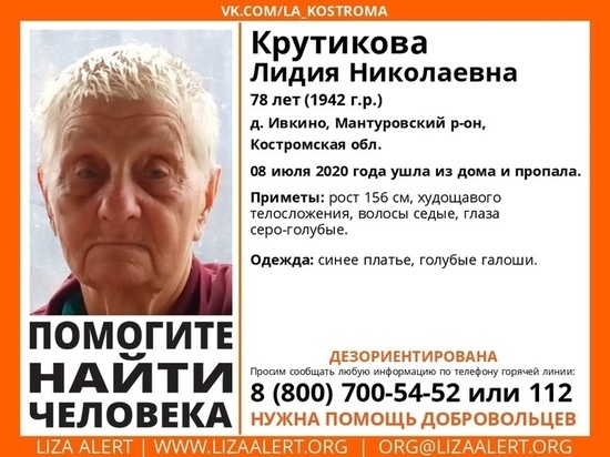 В Мантуровском районе Костромской области спасатели ищут пропавшую женщину 78 лет