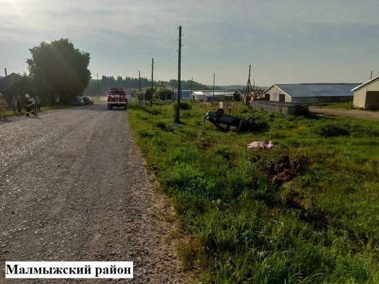 В Малмыжском районе разбился бесправник на "Гранте"