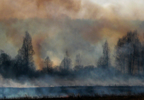 В Свердловской области на перевале Дятлова, где в 1959 году при загадочных обстоятельствах погибли девять туристов, начался лесной пожар