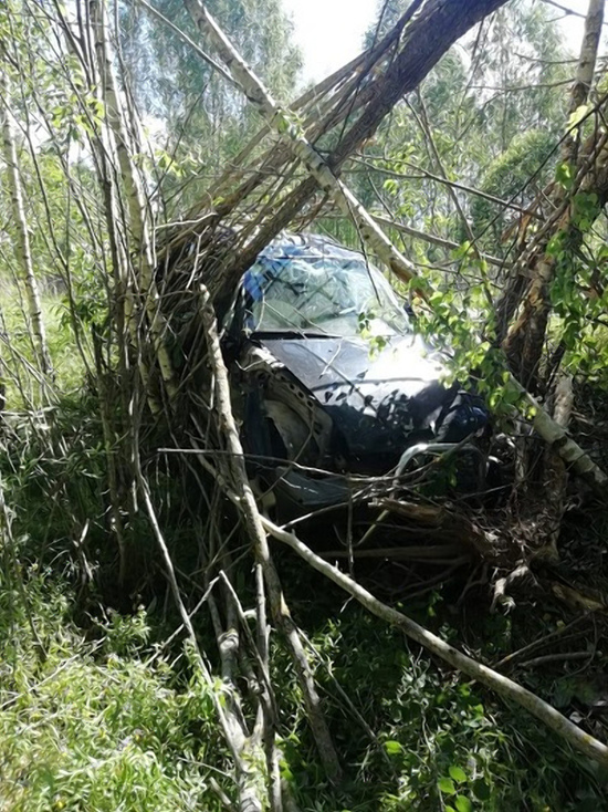 В Починковском районе водитель погиб, врезавшись в дерево
